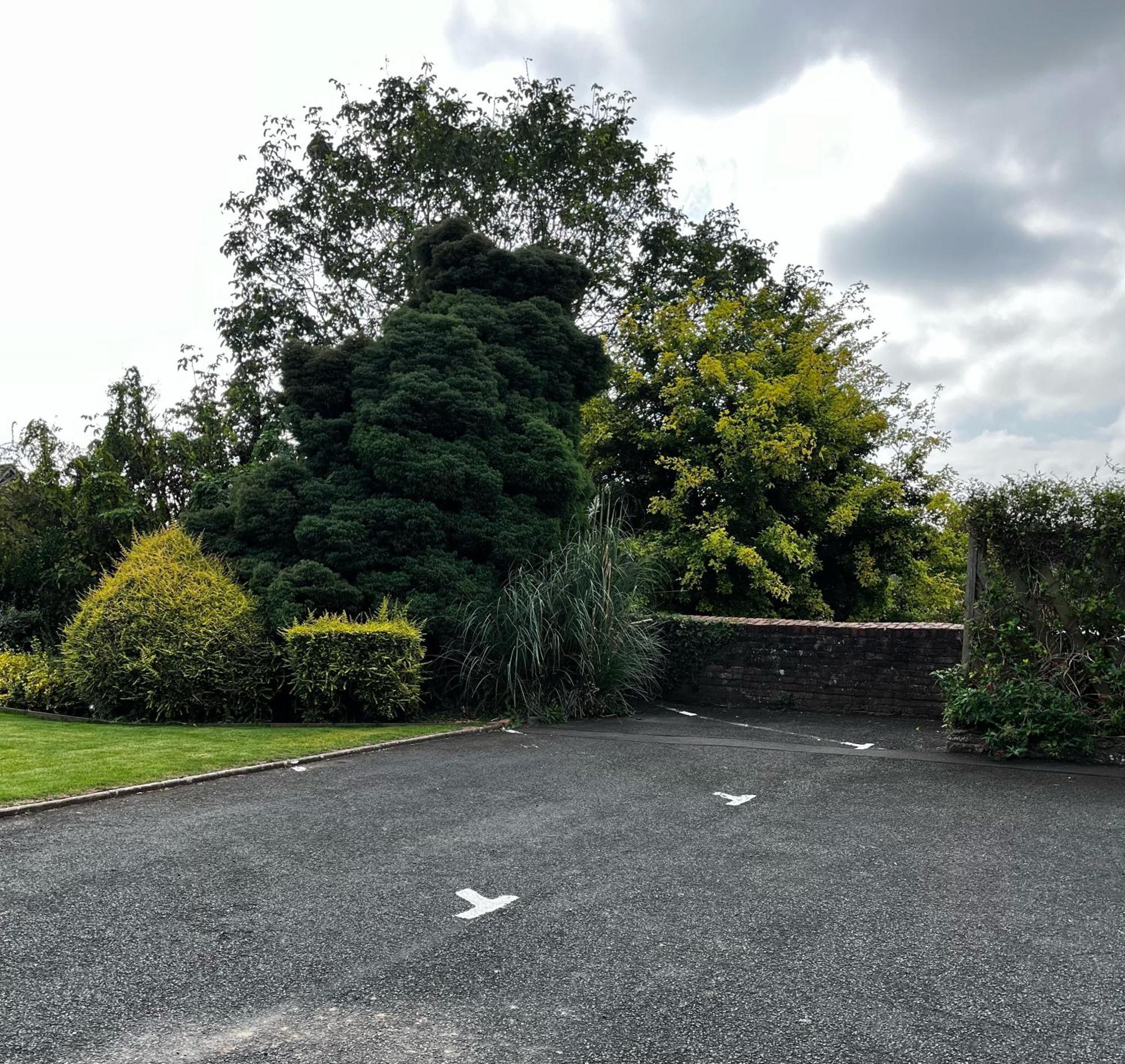 Flower Cottage By Ludlow Castle With Onsite Parking Extérieur photo
